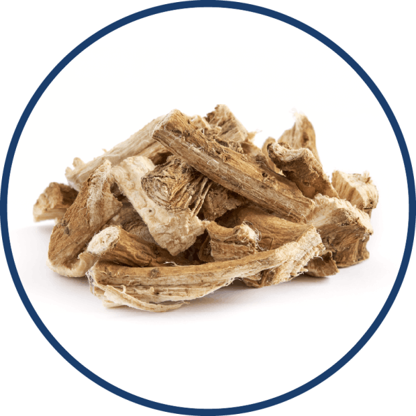 BellyFlush - Marshmallow Root