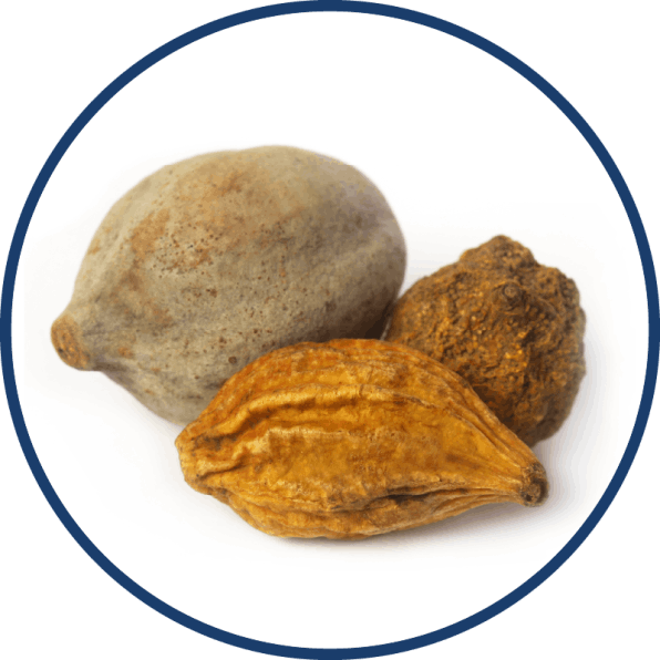 BellyFlush- Triphala Fruit
